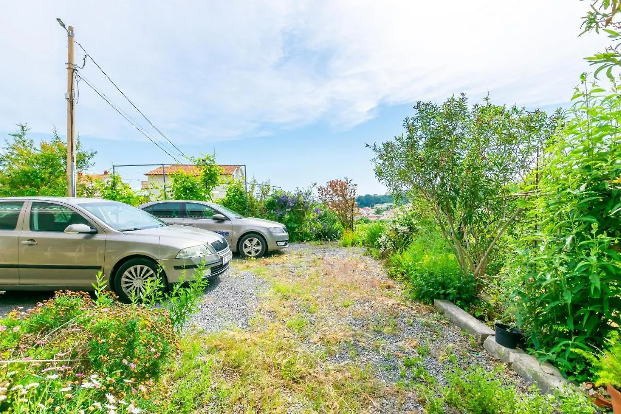 Apartments Mirta Palit