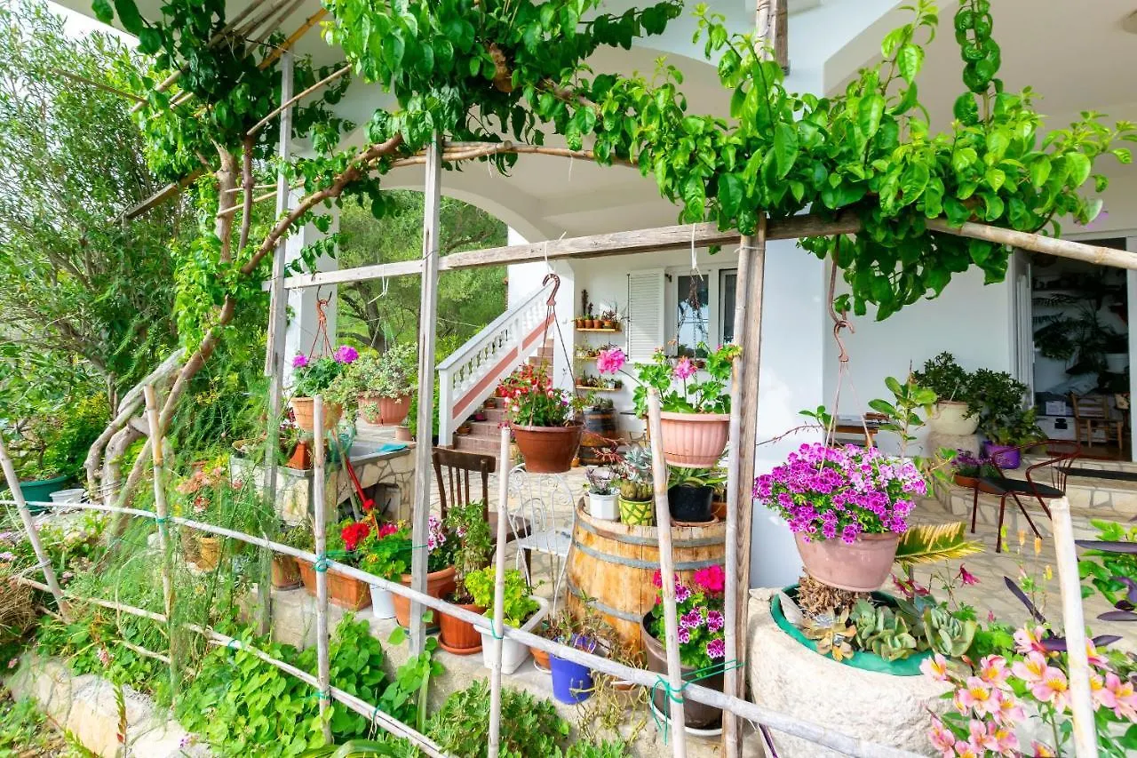 Apartments Mirta Palit